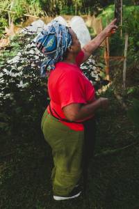 Pereiras Garden - Marlene Silva farmer - São Paulo, zona sul - Photographer: Marília Santana, 2025